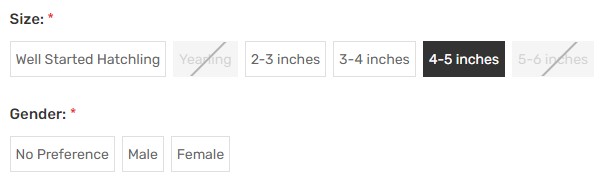 Gender Selection Available